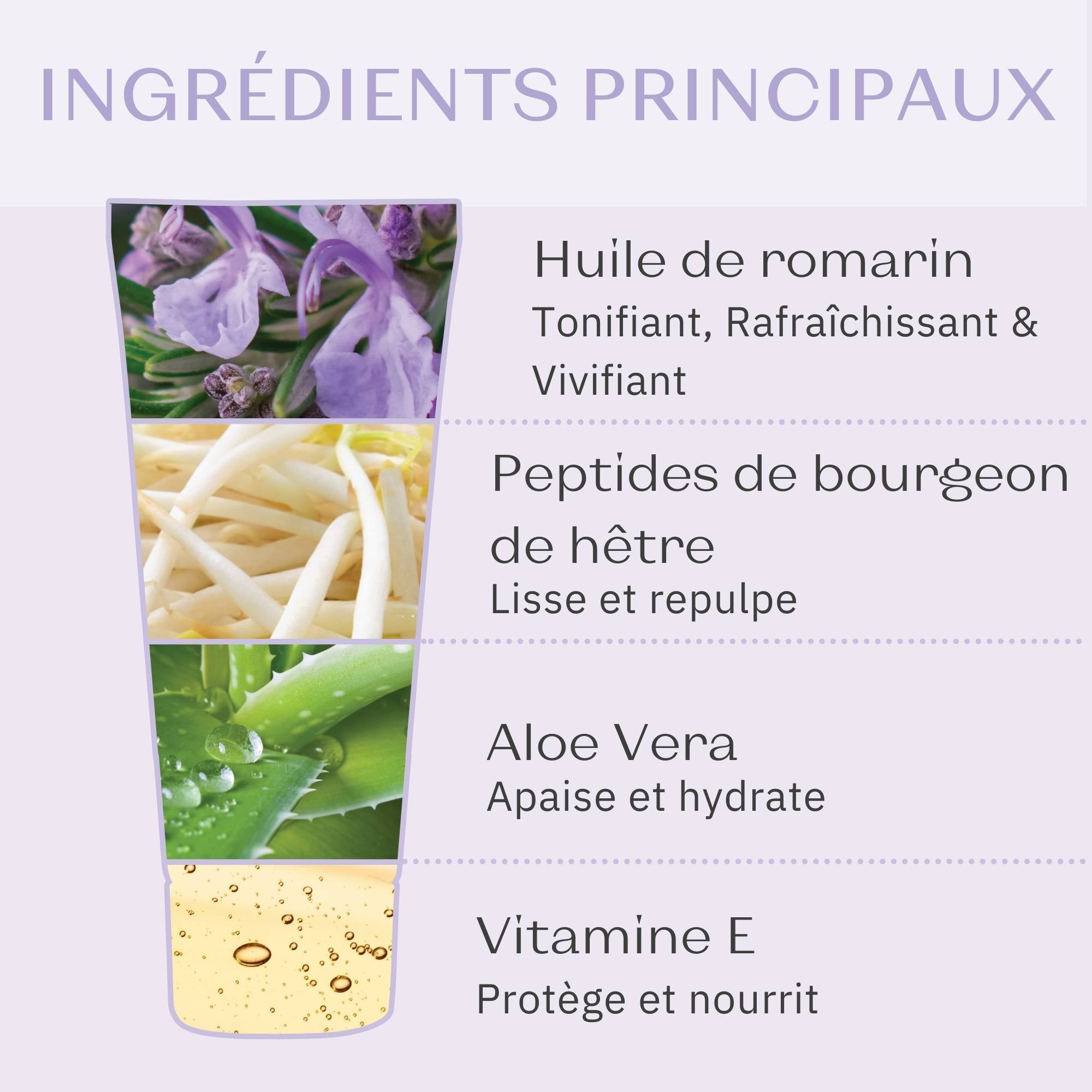 Phyto-Contour – Bags & Dark Circles