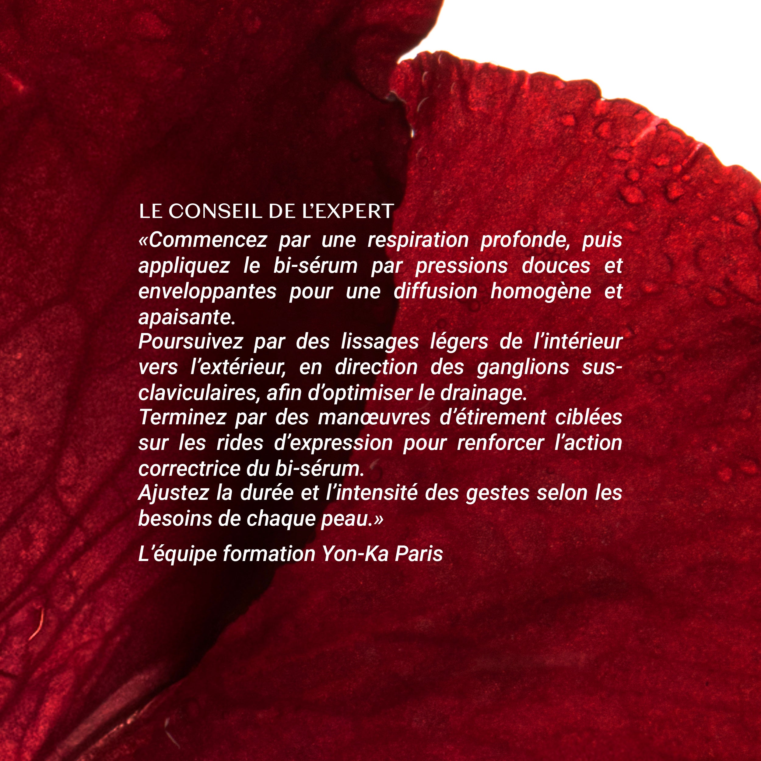 NOUVEAU Bi-Sérum Retinol-Like