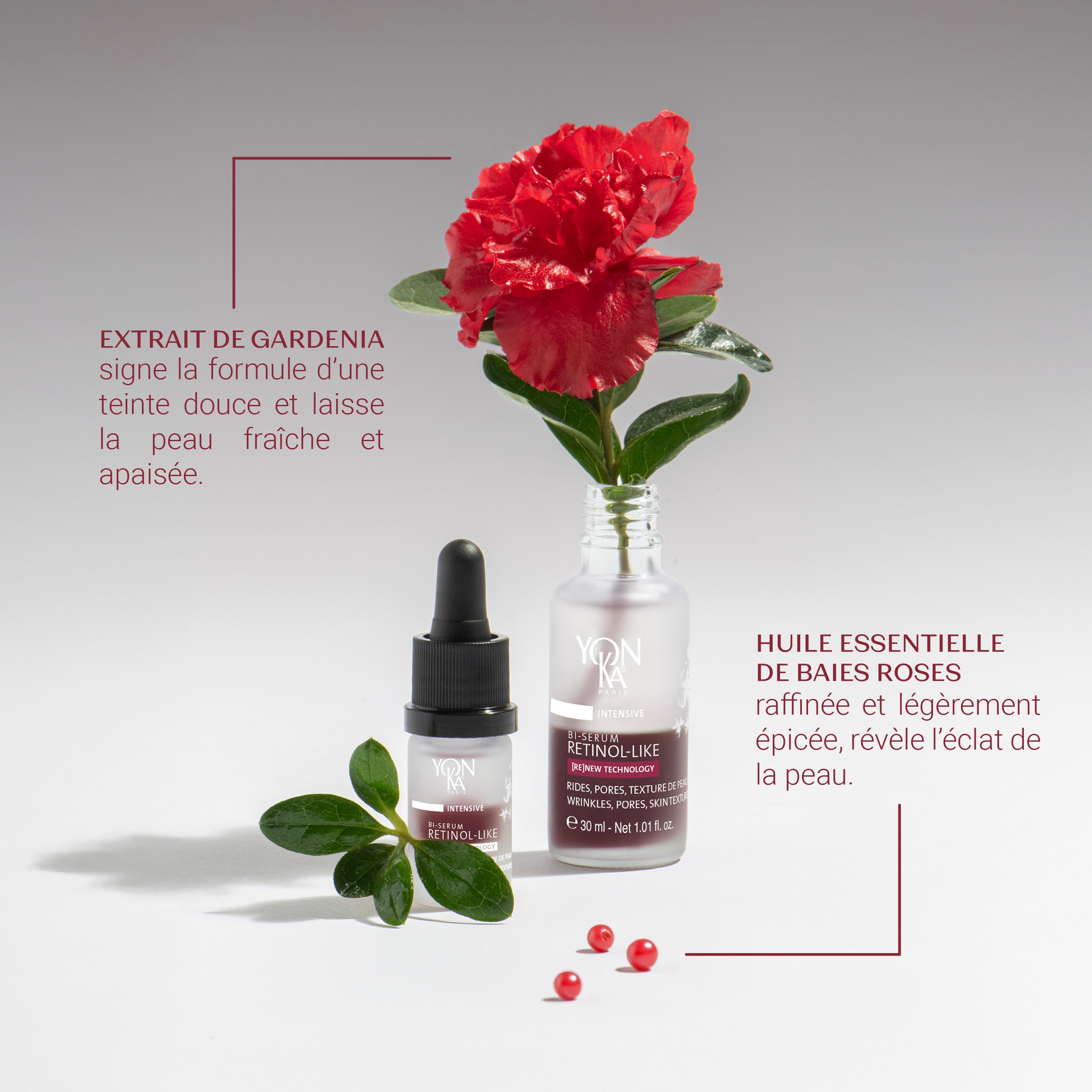 NOUVEAU Bi-Sérum Retinol-Like