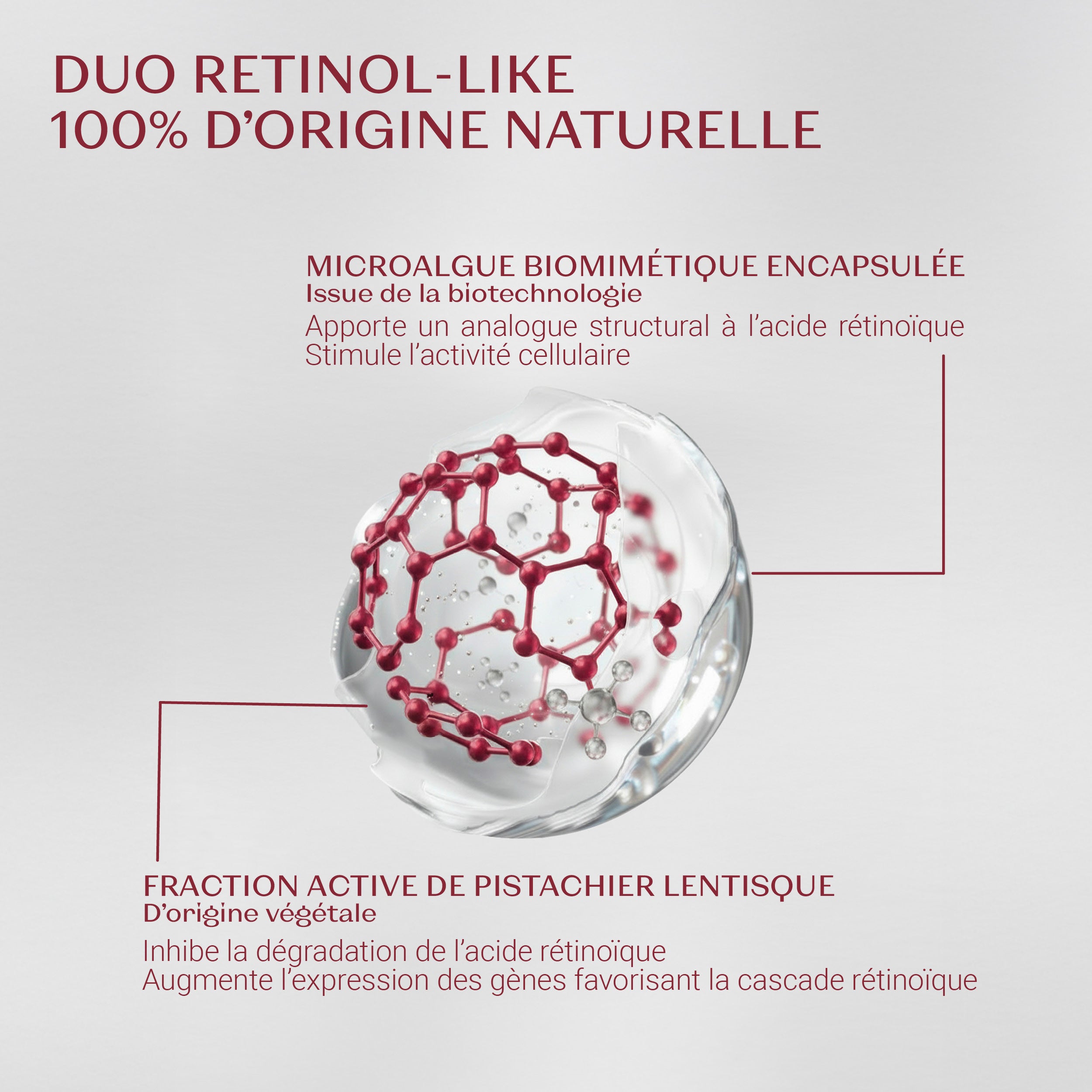 NOUVEAU Bi-Sérum Retinol-Like