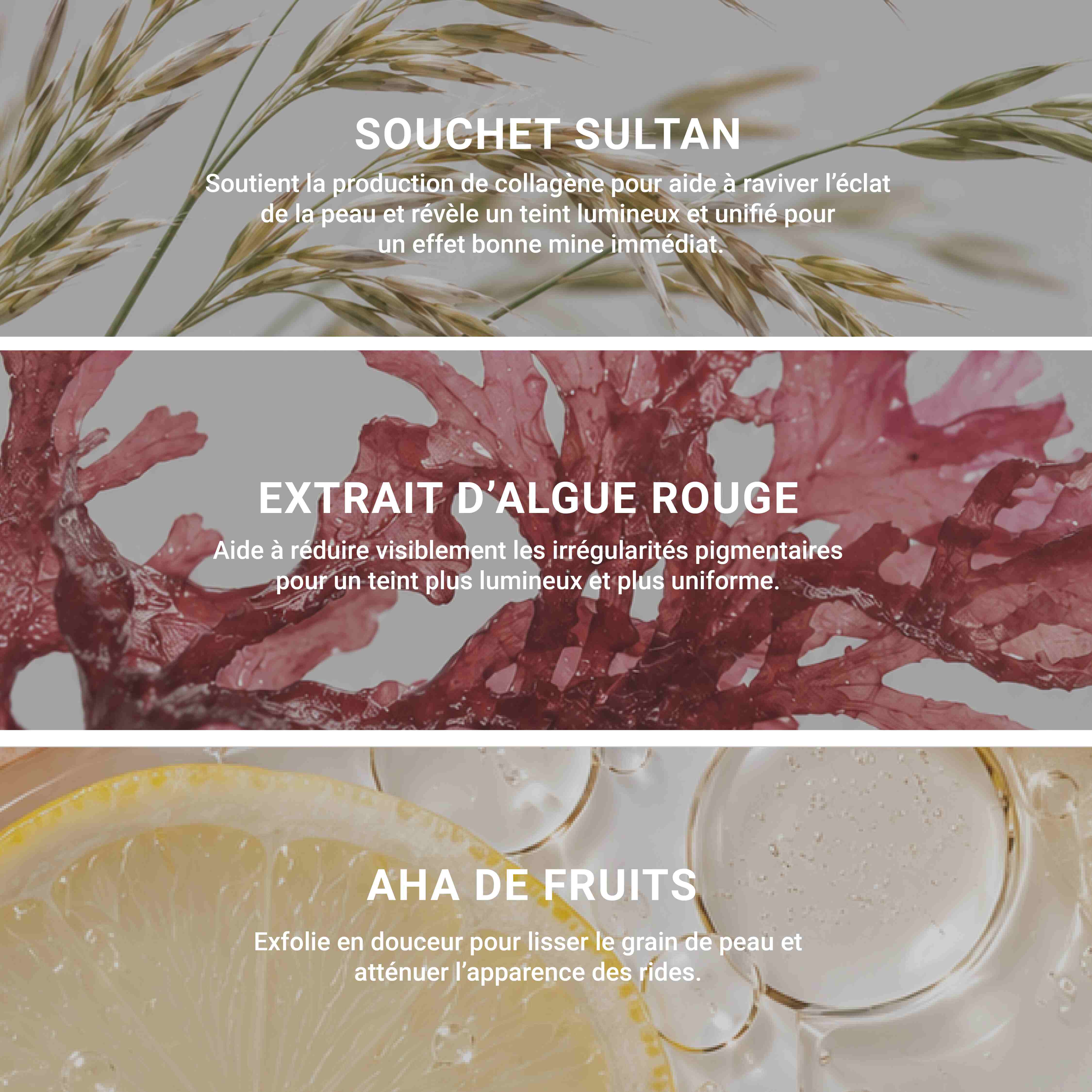 Le Masque – Excellence Code